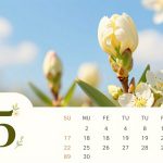 25.03.2026 який сьогодні день, свято, хто народився, гороскоп